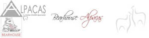 Bearhouse Alpacas